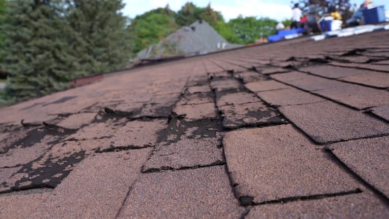 Best Emergency Roof Repair Services  in Creve Coeur, IL