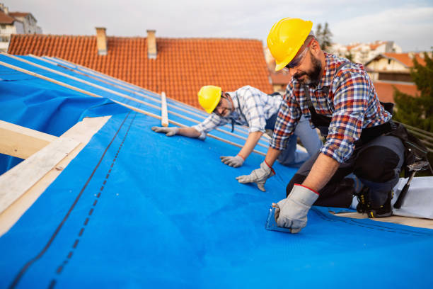 Best Rubber Roofing (EPDM, TPO)  in Creve Coeur, IL