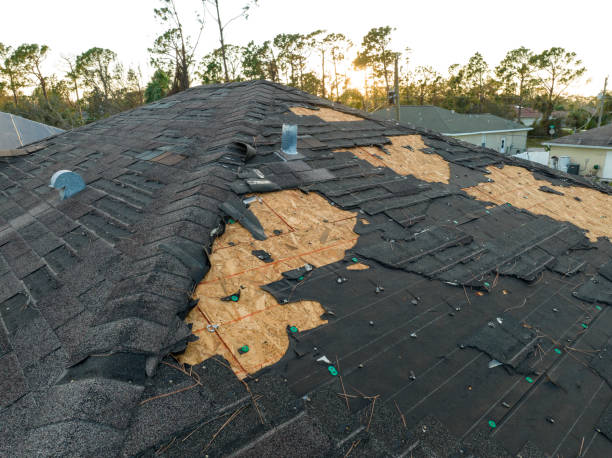 Trusted Creve Coeur, IL Roofing Service Experts